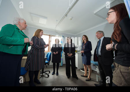 Larbert, Falkirk, Regno Unito. Il 21 marzo 2019. Nella foto: (sinistra - destra) Lynn Wadell - NHS Forth Valley uguaglianza piombo; Hazel Somerville - genere basato violenza piombo e Responsabile del Centro; Cathie Cowan - Chief Executive NHS Forth Valley; Jeane Freeman MSP - Armadio Segretario per la salute e lo sport; Dr Catherine Calderwood - Direttore medico per il Governo scozzese; Alex Linkston Chief sedia NHS Forth Valley; Nicky Carmichael - Depute testa del CEO Task Force unità. Credito: Colin Fisher/Alamy Live News Foto Stock