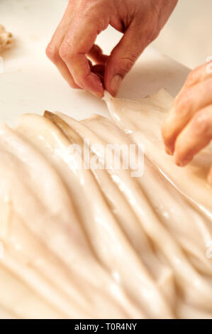 Il polpo wird von einem Koch fuer die Weiterverarbeitung gesaeubert und vorbereitet. Seine beiden Haende sind bei der Arbeit zu sehen. Foto Stock