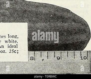 Dreer's 1948 - Il nostro centodecimo Dreer's 1948 - Il nostro centodecimo anno dreers1948i nostri1101948henr Anno: 1948 365 Clark ic speciale 62 giorni. Bel verde scuro di frutta, 9 a 10 cm di lunghezza, leggermente rastremata in corrispondenza di entrambe le estremità. Bella bianco chiaro, nitido e polpa soda con pochissimi semi. Un ideale per affettare la varietà di eccezionale pregio. Pkt. 10c; oz. 2Sc; Y lb. SOc; lb. $2,75. 74 consigliamo vivamente l'uso di sementi prodotti protettivi dato sotto ogni vegetale. Vedere pagina 93. Foto Stock