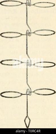 Dreer dell'autunno catalogo delle lampadine del Dreer catalogo autunno di bulbi piante, arbusti, e semi per caduta di piantare dreersautumncata1935henr Anno: 1935 Garofano e la bocca di leone sup- porto, la perfezione. Il più semplice e durevole e disposizione pratica ad uso della serra disponibile. Ciascun anello onu- ganci permettendo che racchiude una nuova crescita senza il pericolo di rotture o ammaccature. Altezza totale, 36 pollici, anelli misura 6j pollici in diametro. 12 per $2,25; 100 per $15.00. Pali, Filo di ferro zincato. diametro i pollici. Lunghezza Doz. 2 ft. $0 20 3 ft. 30 4 ft. 40 5 ft. 55 6 ft. 70 = 0 100 1000 $1 15 $8 50 1 75 12 Foto Stock