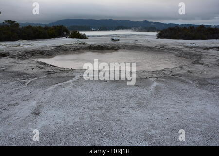 Piscina calda nel parco Kuirau vicino al lago di Rotorua, Isola del nord, Nuova Zelanda Foto Stock