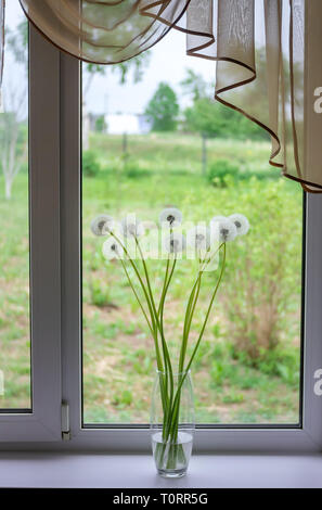 Bouquet di tarassaco sulla finestra in un vaso trasparente. Natura morta sulla finestra con un bouquet di bianco di tarassaco in un vaso di vetro Foto Stock