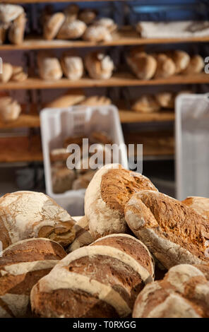 Alcuni appena sfornato pani sul contatore di panetteria. Ripiani e ceste piene di pane in background. Foto Stock