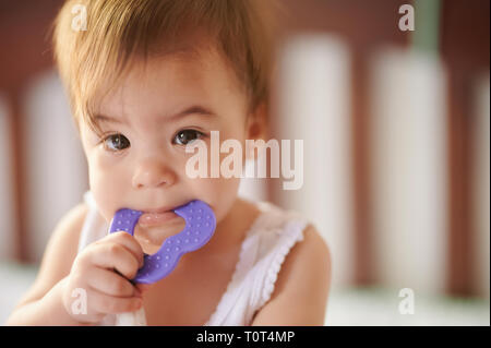 Baby girl aspirare giocattolo. Denti in crescita in capretto piccolo Foto Stock