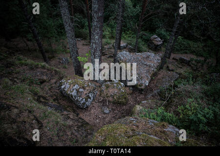 Grandi pietre nel bosco in attesa di tempesta Foto Stock