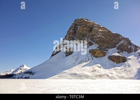 Rocky Mountain Peak e Frozen Bow Lake Scenic Landscape. Sunny Springtime Day nel Banff National Park Canadian Rockies Foto Stock