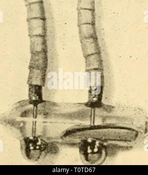 Apparecchio elettronico per la ricerca biologica apparecchio elettronico per la ricerca biologica electronicappara00dona Anno: 1958 Foto Stock