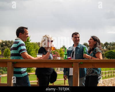 Un gruppo di amici divertendosi e tostatura e bere la birra in un parco su una vacanza Foto Stock