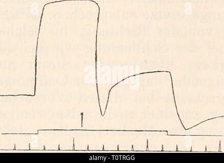 Elektrophysiologie (1895) Elektrophysiologie elektrophysiolog00bied Anno: 1895 Fig. 195. Schliessmuskel der Krebs scheere-. Reizung des Nerven mit Ketteu- strömen. Der vorhandene Tonus wird durch Schliessung schwächerer Ströme (", b) nur wenig oder gar nicht verstärkt, sondern wesentlich gehemmt. Umge- kehrt wirkt Schliessung eines starken Stromes (c). Un Während tonusfreien, in der angegebenen Weise behandelten Präparaten die Folgeerscheinungen der Reizung mit Kettenströmen sich im Ganzen ziemlich gleichförmig gestalten, herrscht bei aller Gesetzmässigkeit im Einzelnen eine überraschende ma