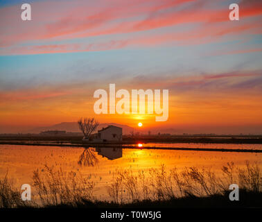 Delta del Ebro Ebre tramonto in Deltebre di Tarragona in Catalogna SPAGNA Foto Stock