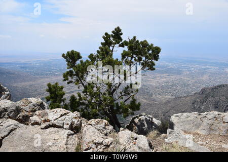 Viste dall'alto di Sandia Peak in Albuquerque, NM Foto Stock