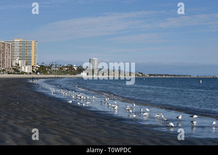 Acqua sporca lavaggi a riva di Alamitos Beach in California del Sud e olio rifiuti di perforazione annerite la sabbia vicino a piattaforme di perforazione offshore Foto Stock