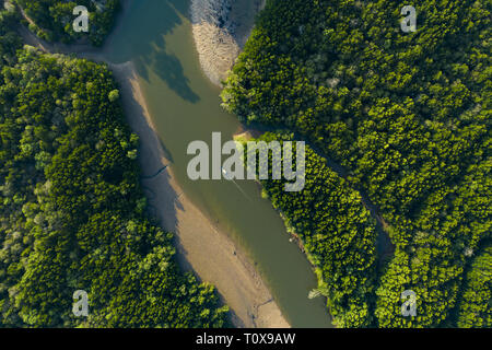 Vista da sopra, splendida vista aerea di una tradizionale barca dalla coda lunga che naviga su un fiume a serpentina che scorre attraverso una verde foresta tropicale. Foto Stock