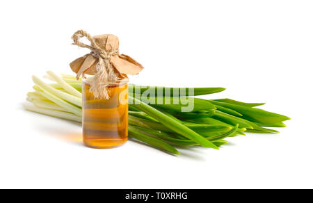 Allium ursinum, noto come aglio selvatico, ramsons, buckrams, di latifoglie, aglio Aglio in legno, portano il porro o l'aglio orsino. Isolato su sfondo bianco. Foto Stock