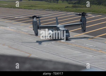 Un MV-22B Osprey tiltrotor aeromobili con mezzo marino Tiltrotor Squadron 262 (rinforzato) si prepara a decollare durante la simulazione di Expeditionary avanzate operazioni di base a Ie Shima Training Facility, 13 marzo 2019. Marines con il trentunesimo Marine Expeditionary Unit stanno conducendo EABO simulato in una serie dinamica di eventi di formazione per affinare le loro capacità di pianificare, provare e completare una varietà di missioni. Durante EABO, il trentunesimo MEU ha collaborato con la terza divisione Marine, 3° Marine Logistics Group e il primo velivolo Marina Wing e gli avieri con gli Stati Uniti Air Force 353 Special Operations Group, Foto Stock