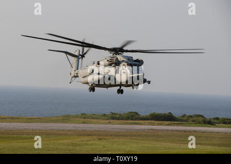 Un CH-53E Super Stallion elicottero con mezzo marino Tiltrotor Squadron 262 (rinforzato) si prepara a terra durante la simulazione di Expeditionary avanzate operazioni di base a Ie Shima Training Facility, 13 marzo 2019. Marines con il trentunesimo Marine Expeditionary Unit stanno conducendo EABO simulato in una serie dinamica di eventi di formazione per affinare le loro capacità di pianificare, provare e completare una varietà di missioni. Durante EABO, il trentunesimo MEU ha collaborato con la terza divisione Marine, 3° Marine Logistics Group e il primo velivolo Marina Wing e gli avieri con gli Stati Uniti Air Force 353 Special Operations Group, pianificare Foto Stock