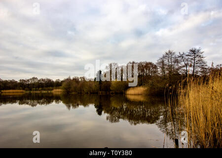 Nice Uk meteo, bella passeggiata nel pomeriggio nel parco pubblico con un piccolo lago chiamato Lindow comune in Wilmslow, Cheshire Foto Stock