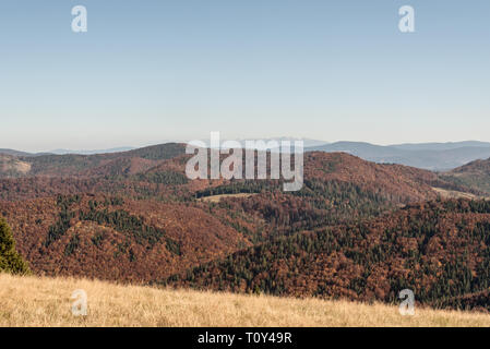 Vista da Hala na Malej Raczy in autunno Beskid Zywiecki montagne sul polacco-Slovacchia confina con le colline coperte da foreste colorate e dei monti Tatra Foto Stock