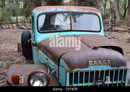 Un vecchio Dodge Power Wagon carrello si fonde con la terra e supporta anche un cactus in crescita nel letto del carrello Foto Stock