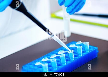 Il controllo di qualità esperto di ispezionare il latte in laboratorio Foto Stock