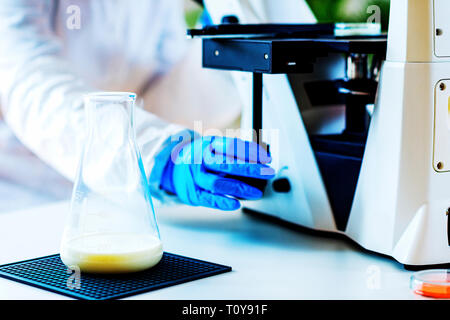 Il controllo di qualità esperto esaminando il latte in laboratorio Foto Stock