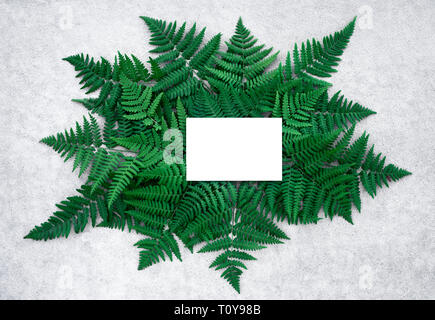 Carta bianca carta con copia spazio e verde scuro foglie di felce sulla superficie di calcestruzzo. Foto Stock