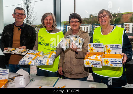 Bantry, West Cork, Irlanda. Xx marzo, 2019. Nonostante la pioggia, volontari erano fuori la raccolta annuale di cancro irlandese della società Daffodil giorno in varie posizioni intorno a West Cork questa mattina. La raccolta nel supermercato Supervalu, Bantry erano Andrew Moore, unà O'Sullivan, Martina Murphy e Barbara Malin, tutti da Bantry. Credito: Andy Gibson/Alamy Live News. Foto Stock