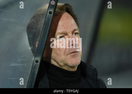 DEN BOSCH, 22-03-2019, Stadion De Vliert, Keuken Kampioen Divisie, Den Bosch - Telstar, stagione 2018 / 2019, Telstar allenatore Mike Snoei prima della partita Den Bosch - Telstar Foto Stock