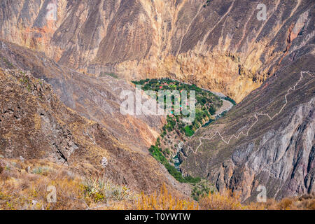 Vista aerea di scenic oasi Sangalle situato nel fiume Colca Canyon, Perù Foto Stock