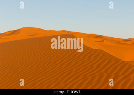 Le grandi dune di sabbia di Erg Chebbi, Marocco, offrono una splendida vista di onde e forme e modifica di golden, rosso e arancione durante il tramonto e sunse Foto Stock