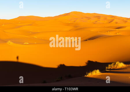 Le grandi dune di sabbia di Erg Chebbi, Marocco, offrono una splendida vista di onde e forme e modifica di golden, rosso e arancione durante il tramonto e sunse Foto Stock