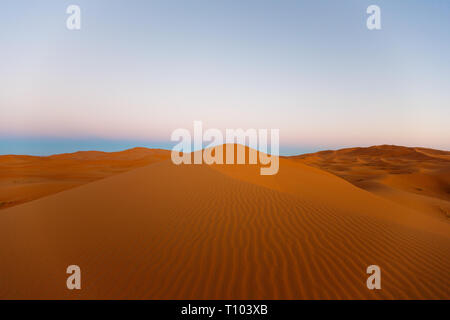 Le grandi dune di sabbia di Erg Chebbi, Marocco, offrono una splendida vista di onde e forme e modifica di golden, rosso e arancione durante il tramonto e sunse Foto Stock