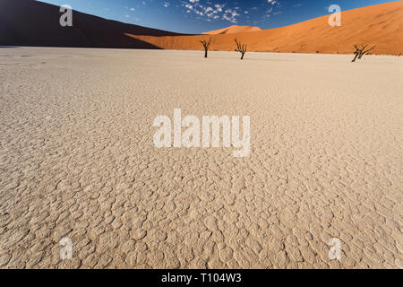 Vista dettagliata del modello di essiccato incrinato il fango riverbed e pochi sparsi gli alberi morti nella parte anteriore delle dune di sabbia rossa Foto Stock