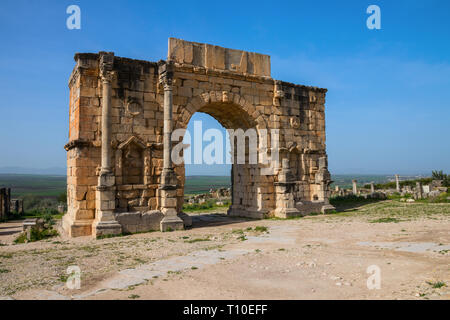 Arco di Caracalla (Arco Trionfale) presso il sito archeologico di Volubilis sotto un cielo blu, Fes-Meknes, Marocco. Foto Stock