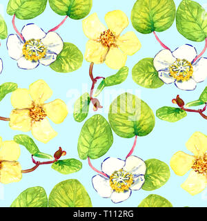 Maschio e femmina fiori kiwifruits, seamless pattern design, dipinte a mano illustrazione ad acquerello, luminoso sfondo blu Foto Stock