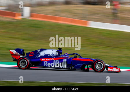 Il giorno 2 della Formula 1 test invernali a circuito de Barcelona-Catalunya a Montmelò, Spagna; test viene eseguito dal 18 al 21 febbraio 2019. Dotato di: Alexander Albon dove: a Montmelò, Catalogna, Spagna Quando: 19 Feb 2019 Credit: IPA/WENN.com * * disponibile solo per la pubblicazione in UK, USA, Germania, Austria, Svizzera** Foto Stock