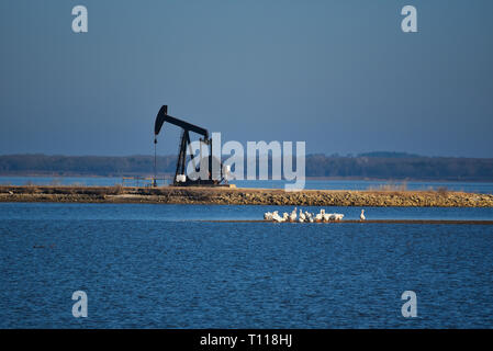 Pompa dell'olio nel National Wildlife Refuge Foto Stock