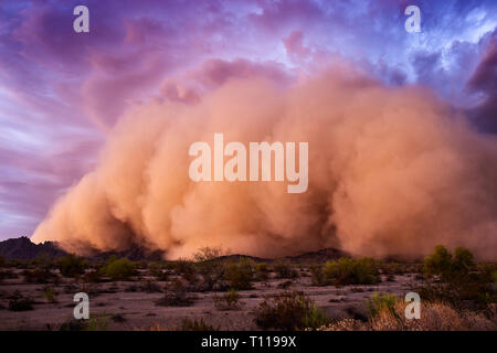 Haboob polvere tempesta nel deserto al tramonto vicino Tacna, Arizona Foto Stock