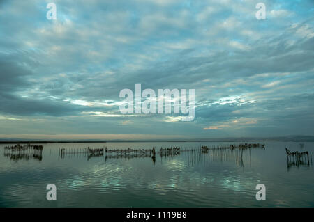 Albufera , Laguna di Valencia, Spagna Foto Stock