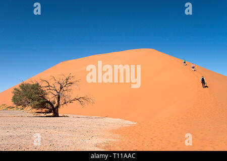 Due ragazzi e il loro padre comincia a salire la red dune di sabbia 45, popolare per arrampicate dai turisti a Sossusvlei, all'interno del Parco Namib-Naukluft nel Namib Foto Stock