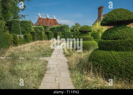 Vista prospettica del 'TopiaryLawn' con la passerella a Great Dixter, Inghilterra, foderato con abilmente tagliata, topiaria da formali contrastanti con erba non tagliata Foto Stock