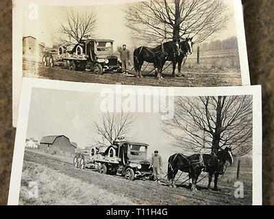 Foto di inizio America-Farm cavalli trascinando un fango bloccato camion che trasportano un automobile. Foto Stock