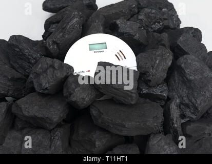 Rilevatore di fumo , rivelatore di monossido di carbonio Foto Stock