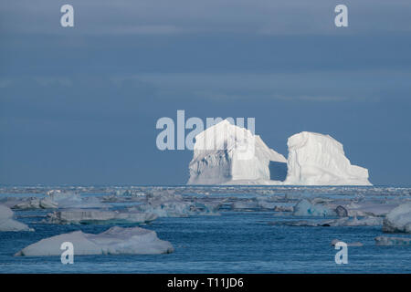 L'Antartide, al di sotto del circolo antartico. Pieno di ghiaccio nella baia di Bellingshausen mare in suono cristallino. Foto Stock