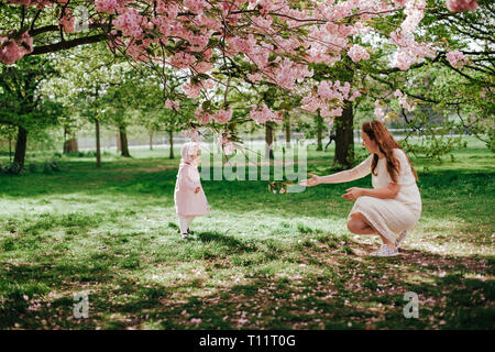 Bella donna con la figlia in esecuzione a lei di parcheggiare all'esterno. Cherry Blossom Pink tree. Famiglia sulla natura nel parco di Greenwich, Regno Unito Foto Stock