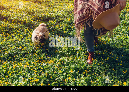 Donna che cammina pug cane nella foresta di primavera. Happy puppy in esecuzione tra fiori gialli al mattino e mastica erba. Cane divertendosi Foto Stock