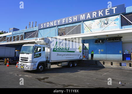 SYDNEY, Australia - 18 lug 2018- Vista del Sydney Fish Market, situato sulla baia di Blackwattle in Pyrmont, Sydney, Nuovo Galles del Sud, Australia. Foto Stock