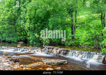 Wainwath cade sul fiume Swale in Swaledale a metà estate Yorkshire Dales National Park Foto Stock
