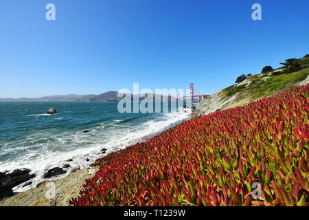 Il Ponte Golden Gate e la baia di San Francisco da Marshall's Beach Foto Stock