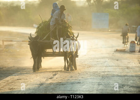 Un buoi-disegnato il carrello sulla strada principale a Toliary, nel sud del Madagascar. La mattina presto la luce. Foto Stock